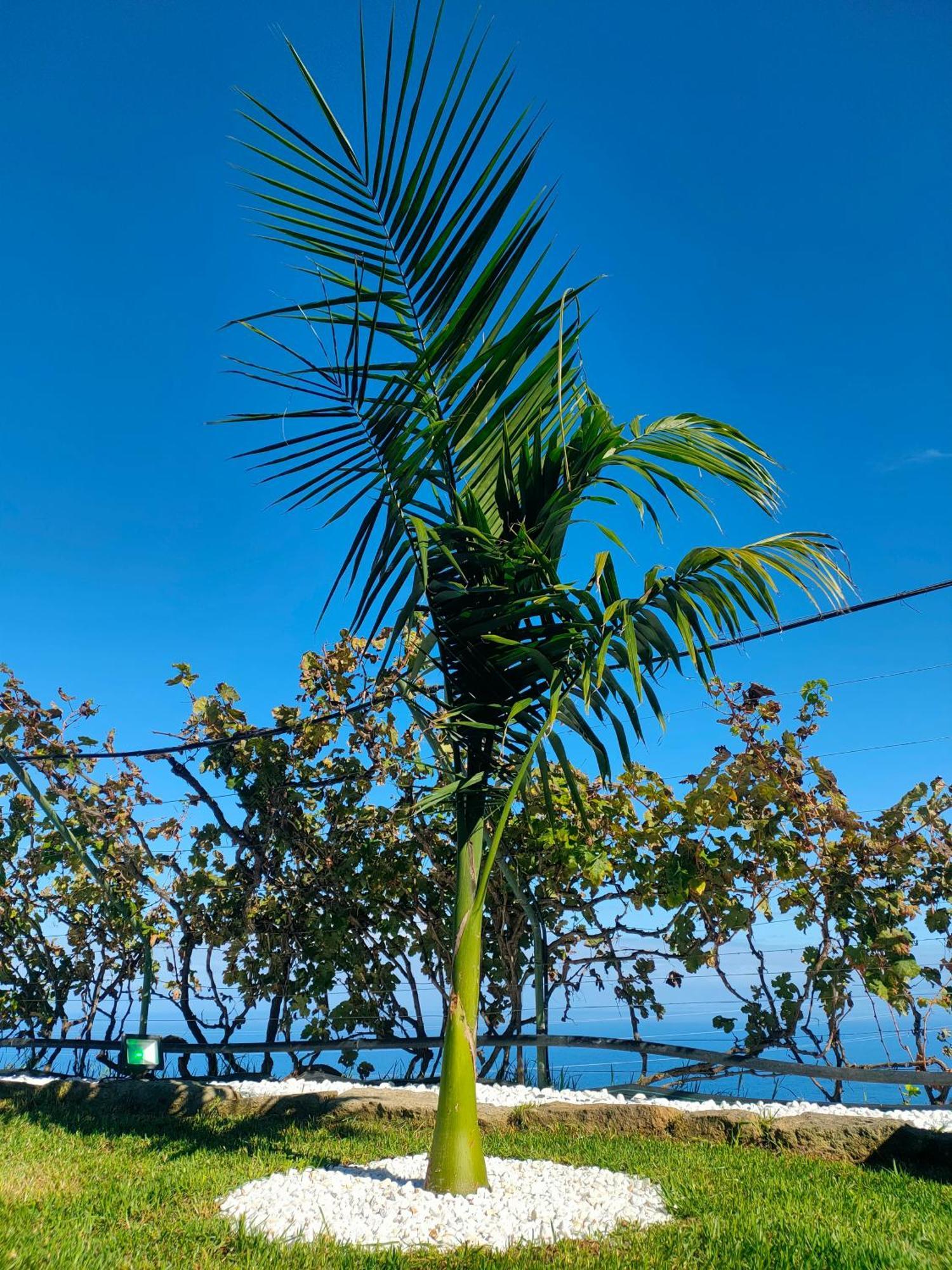 Casa Finca El Roque La Guancha ภายนอก รูปภาพ
